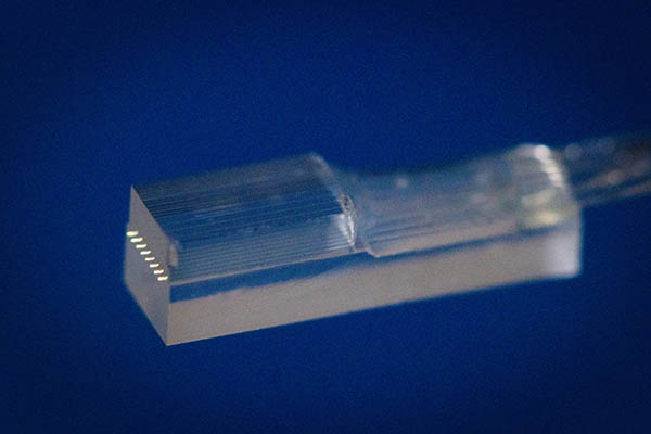lid of a lensed fiber array