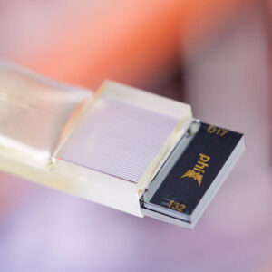 PHIX 32-channel spot size converting fiber array